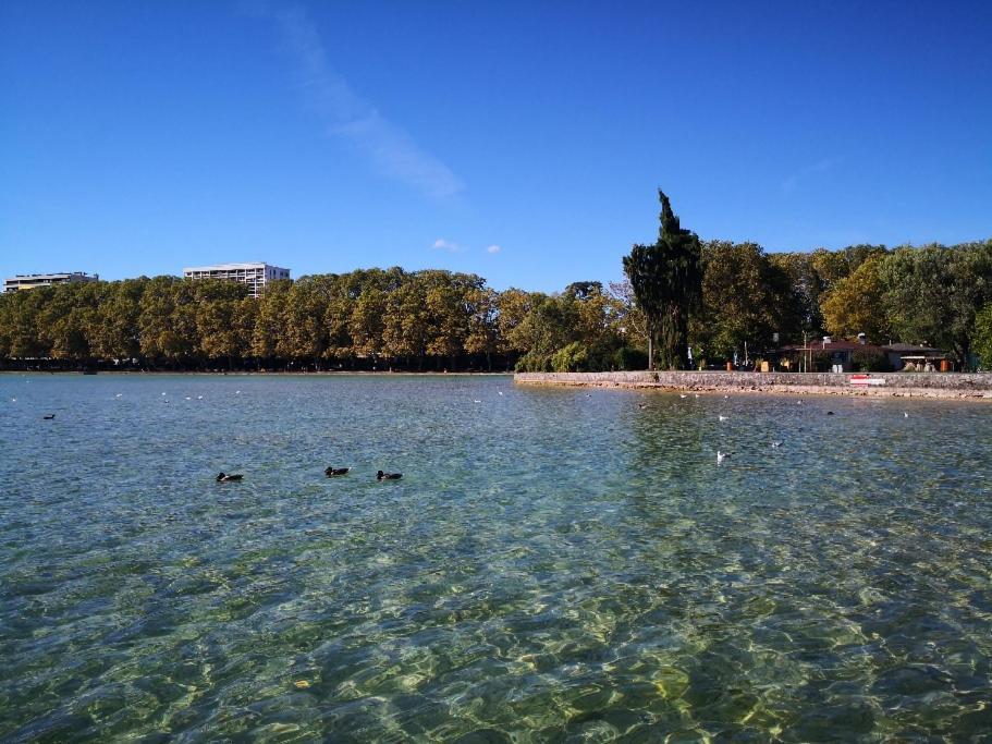 Studio Moderne, Place Parking Prive, Emplacement Ideal A 100 M Du Lac. Annecy Kültér fotó